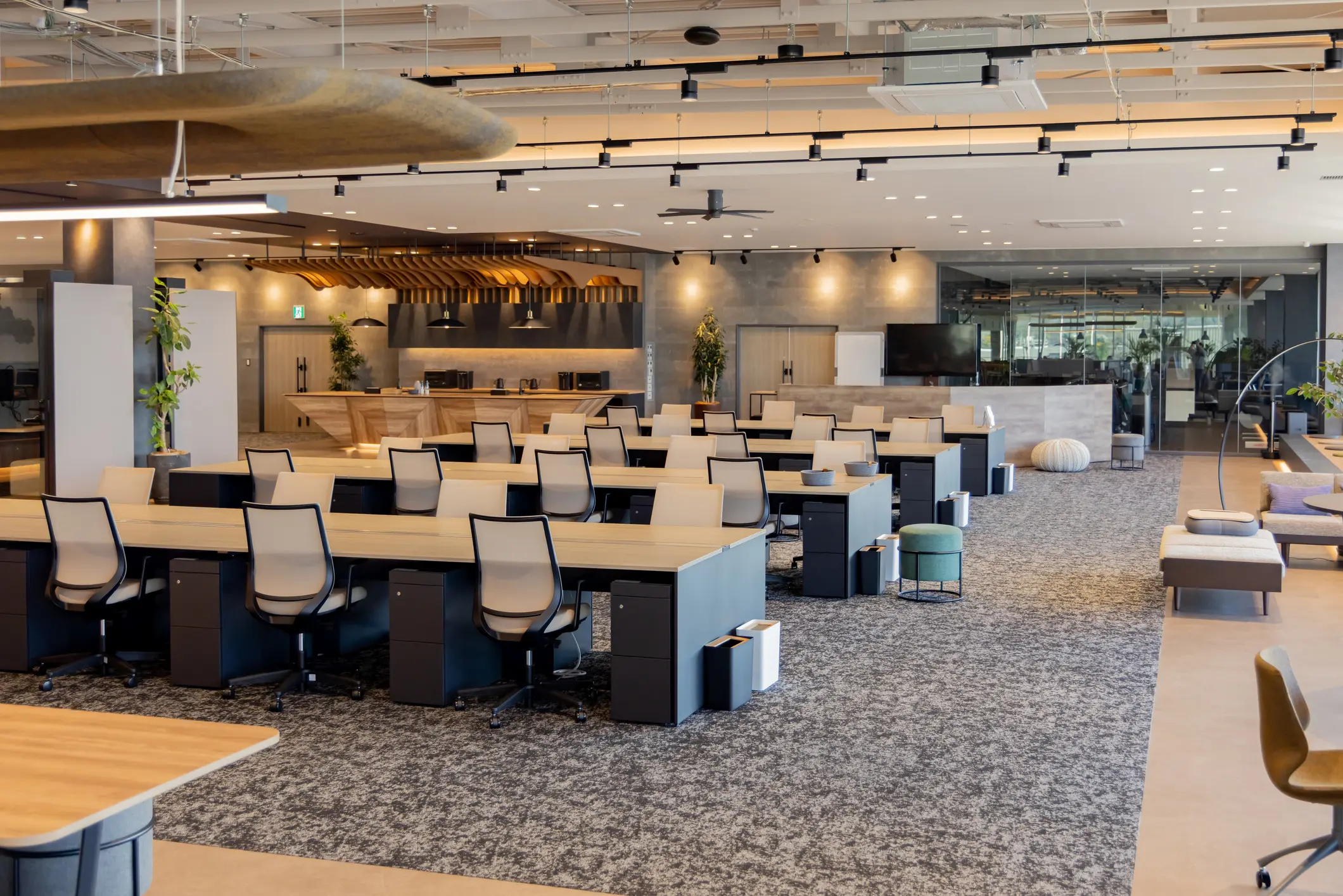 Modern open-plan office with rows of desks, ergonomic chairs, and a kitchen area in the background. The space is well-lit with large windows and decorated with plants.