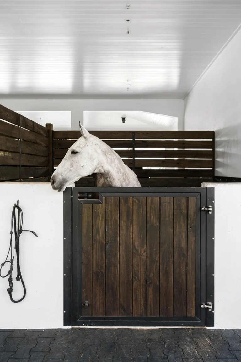 Designing a Horse-Friendly Environment