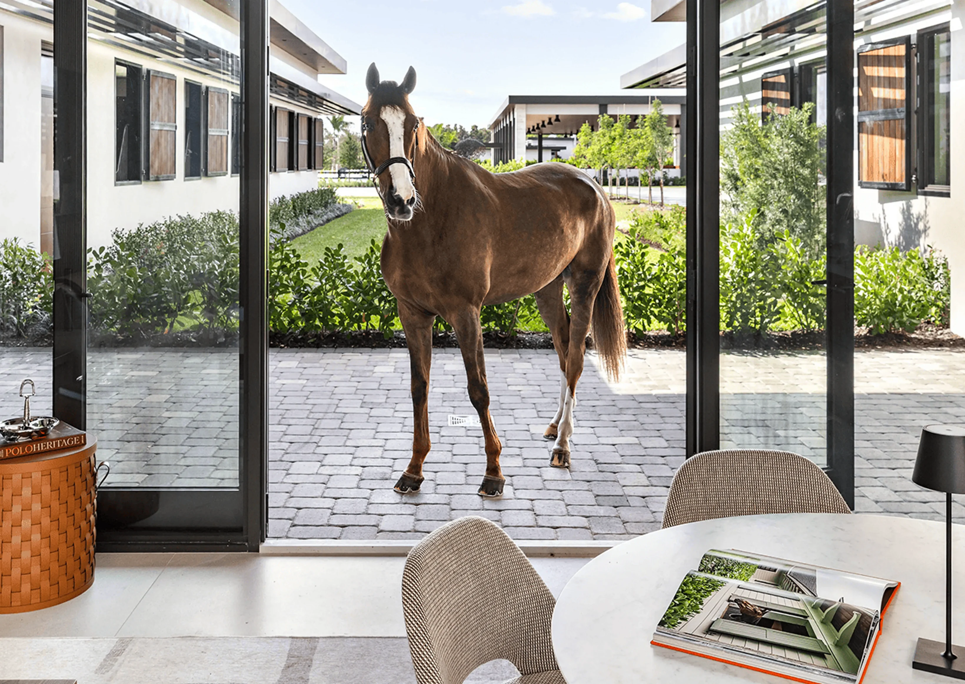Horse standing in front of a table with a lamp and a book on it, surrounded by chairs