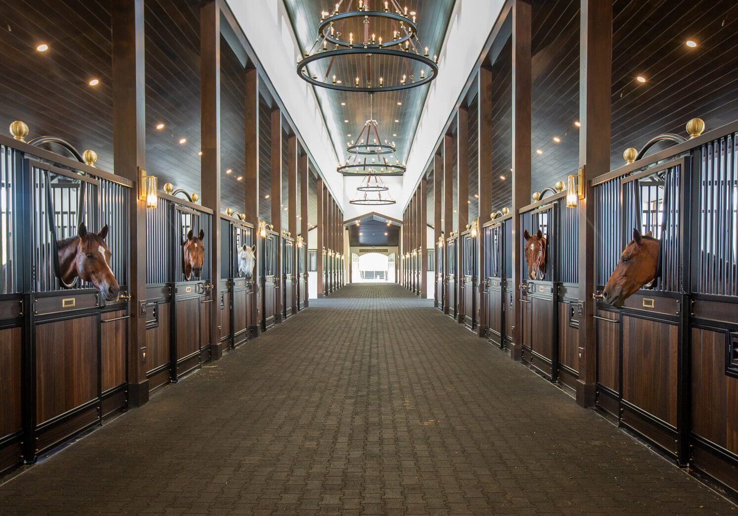 A long hallway with many doors and windows.