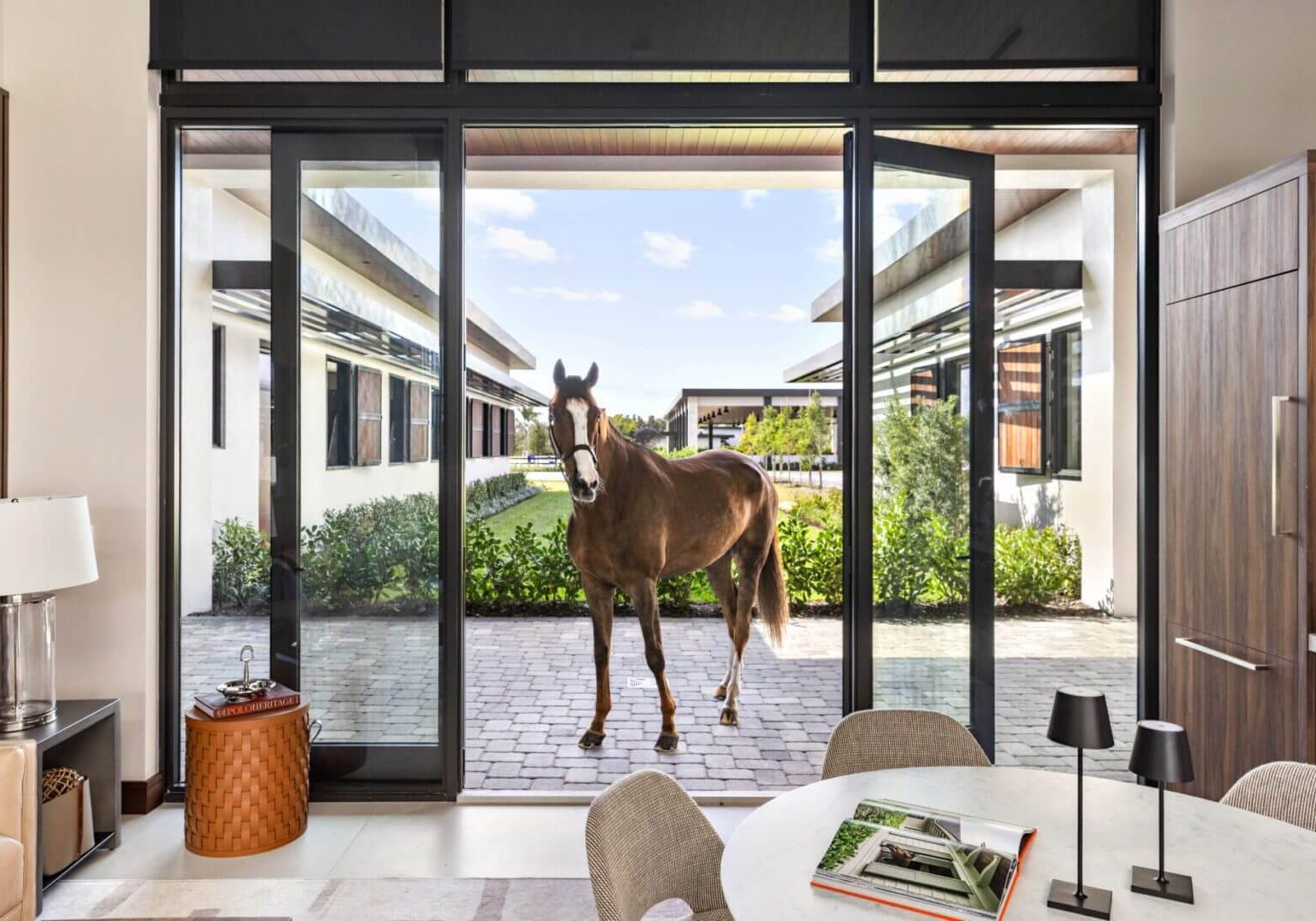 Horse standing outside glass doors of house.